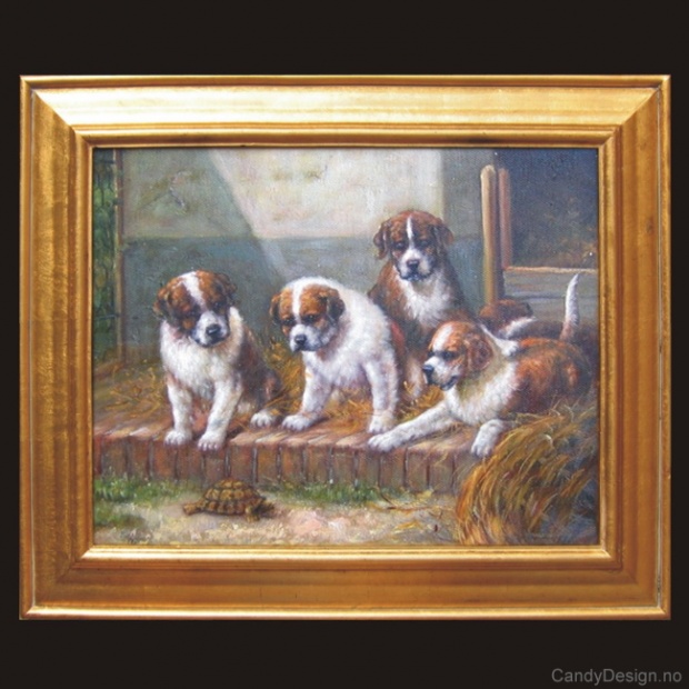 Oljemaleri  Dogs and Turtle