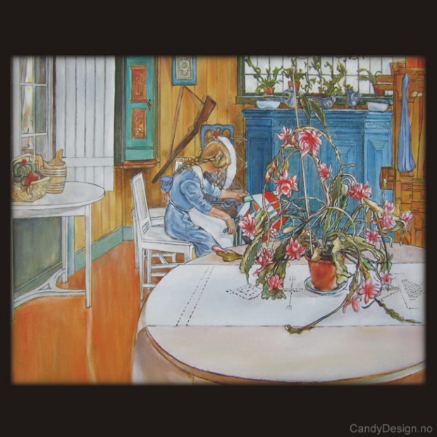 Interiør med kaktus