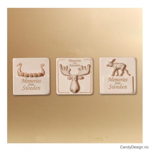 Spesial firkantet magnet