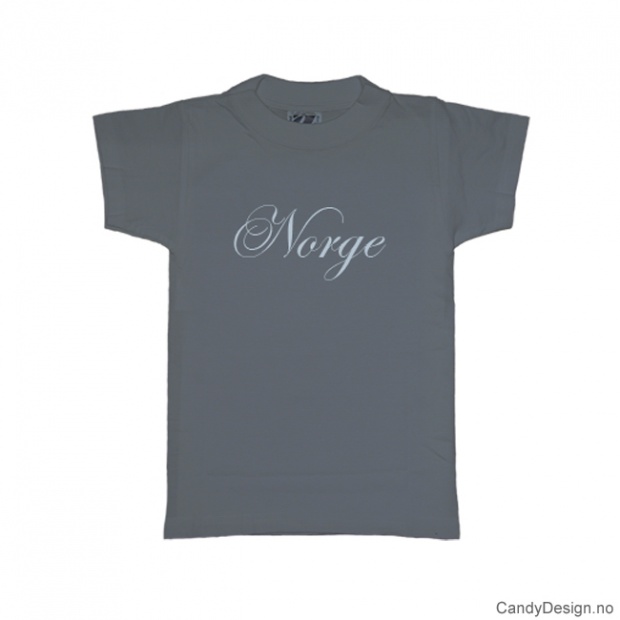 L - Men Classic T-shirt Norge greyblue w/light blue print