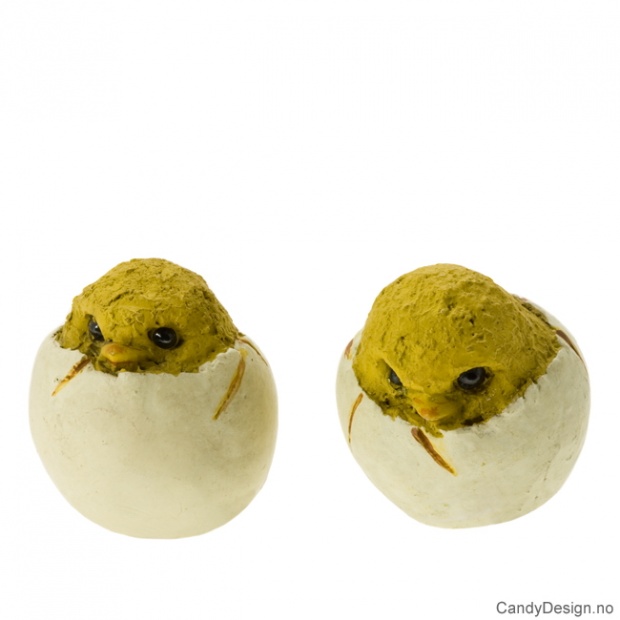 Påske kyllinger i egg assortert
