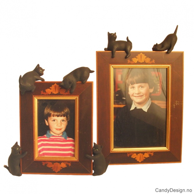 Rammekatter - kun katter