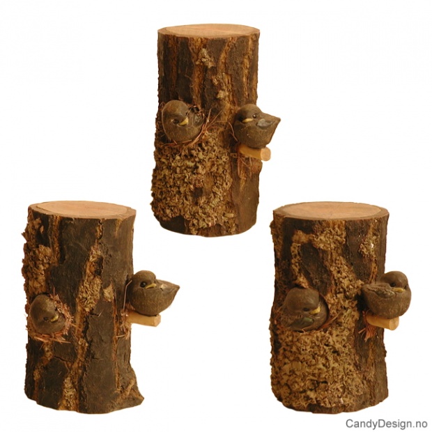 Fugler - Først ute - assortert