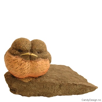 To fugler sammen på stein