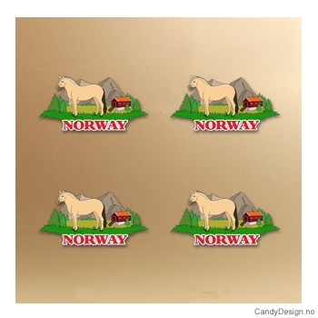 Magnet i silikon med Norway - Fjording