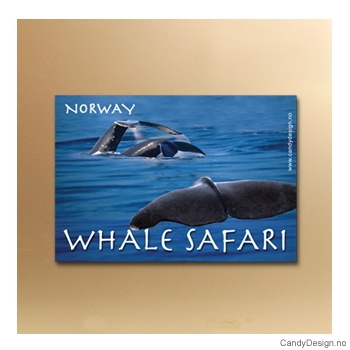 Whale Safari suvenir metallmagnet
