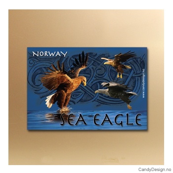 Ørner suvenir metallmagnet