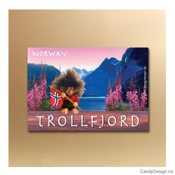 Trollfjord suvenir metallmagnet