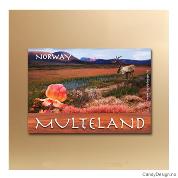 Multeland suvenir metallmagnet