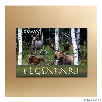 Elgsafari suvenir metallmagnet