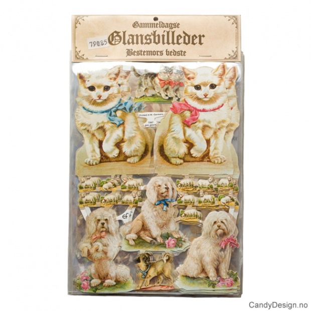 Glansbilder - Katter og hunder uten glitter